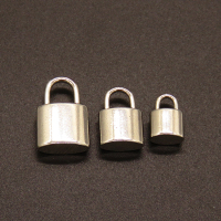304 Stainless Steel Pendants,Padlock,True color,20x12mm,Hole:7x5mm,about 4.2g/pc,50 pcs/package,XFPC02053aahj-611