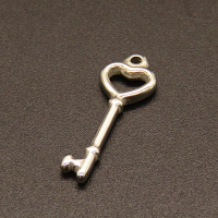 304 Stainless Steel Pendants,Heart Key,True color,25x9mm,Hole:1.2mm,about 1g/pc,50 pcs/package,XFPC02125aahi-611