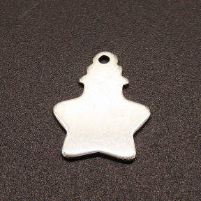 304 Stainless Steel Pendants,Star,True color,18x13mm,Hole:1.5mm,about 0.7g/pc,100 pcs/package,XFPC02145vabhi-611