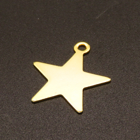 304 Stainless Steel Pendants,Star,Vacuum plating Gold,12mm,Hole:1.2mm,about 0.4g/pc,100 pcs/package,XFPC02385vabkb-611