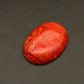 Natural Grass Coral Cabochons,Suede Oval,Red,6x18x24mm,about 2.9g/pc,1 pc/package,XFCA00166vbll-L001
