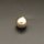 Shell Pearl Beads,Half Hole,Round,Dyed,Champagne,12mm,Hole:1mm,about 2.7g/pc,1 pc/package,XBSP00938aahi-L001