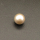 Shell Pearl Beads,Half Hole,Round,Dyed,Champagne,8mm,Hole:1mm,about 0.5g/pc,1 pc/package,XBSP00993vabob-L001
