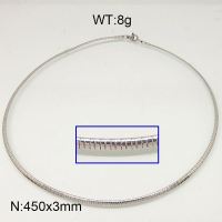 304 Stainless Steel Necklace,Collar & Omega Chain,True Color,3x450mm,about 8g/package,1 pc/package,6N20596aajl-641