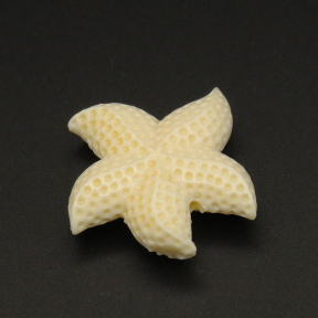 Resin Beads,Starfish,Cream color,9x30mm,Hole:2.5mm,about 5.1g/pc,1pc/package,XBR00061imbb-L001