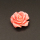 Resin Cabochons,Flower,Pink,9x21mm,Hole:1.5mm,about 1.8g/pc,1pc/package,XBR00532hlbb-L001