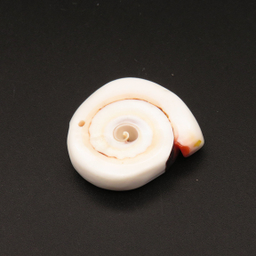 Shell,Pendant & Charms,Conch,White,8x27x30mm,Hole:1.5mm,about 10.8g/pc,1pc/package,XFPC01125hibb-L001
