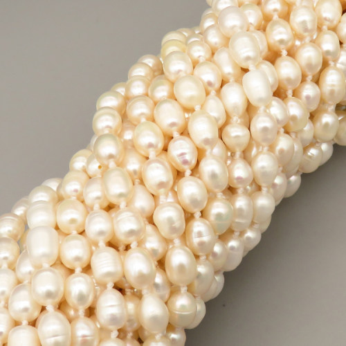 Natural Cultured Freshwater Pearl Beads Strands,Thread Beads,Off White,6mm-7mm,Hole:1.2mm,about 220 pcs/strand,about 30 g/strand,1 strand/package,47.24"(1.2m),XBSP01212blla-L020