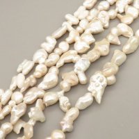 Natural Baroque Pearl Keshi Pearl Beads Strands,Cultured Freshwater Pearl Beads Strands,Follow Suit,Off White,7x11x17mm-13x19x40mm,Hole:1.5mm,about 24 pcs/strand,about 180 g/strand,100 g/package,14.17"(36cm),XBSP01282hbab-L020