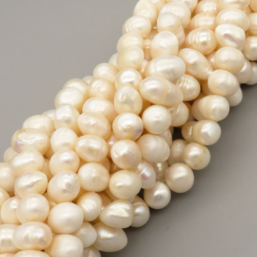 Natural Cultured Freshwater Pearl Beads Strands,Thread Beads,Off White,,12mm-18mm,Hole: 1.5mm,about 39 pcs/strand,about 80 g/strand,1 strand/package,14.17"(36cm),XBSP01424ajlv-L020,14370