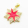 Micro Pave Cubic Zirconia & Enamel,Brass Pendants,Star of David,Plated Gold,Red,21mm,Hole:2mm,about 3.1g/pc,5 pcs/package,XFPC04489baka-L024