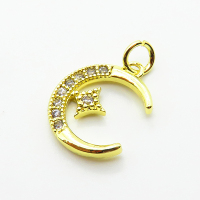 Brass Micro Pave Cubic Zirconia Pendants,Moon,Star,Plated Gold,14x13mm,Hole:2mm,about 1g/pc,5 pcs/package,XFPC05162aahj-L035