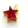 Brass Micro Pave Cubic Zirconia Pendants,Star,Plated Gold,Red,12mm,Hole:1.5mm,about 1.5g/pc,5 pcs/package,XFPC05433avja-L017