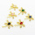 Brass Micro Pave Cubic Zirconia Links Connectors,Dragonfly,Plated Gold,Mixed Color,20x21mm,Hole:2mm,about 2.1g/pc,5 pcs/package,XFL02370aajl-L017