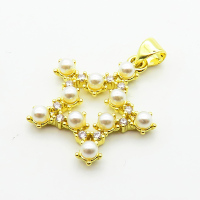 Brass Micro Pave Cubic Zirconia Pendants,with Plastic Imitation Pearls,Star,Plated Gold,21mm,Hole:2mm,about 2.2g/pc,5 pcs/package,XFPC06441aajl-L024
