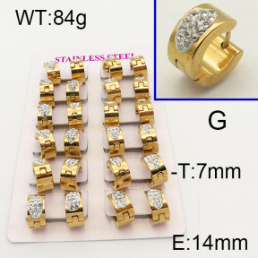 SS Earrings  6E4002446aklm-450