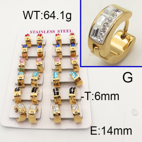 SS Earrings  6E4002465aklm-450