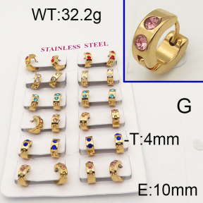 SS Earrings  6E4002478ainm-450