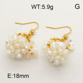 SS Earrings  3E3001793ahlv-628