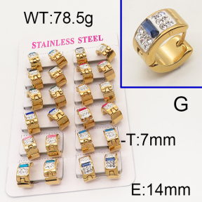 SS Earrings  6E4002538aklm-450