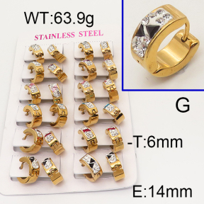 SS Earrings  6E4002539aklm-450