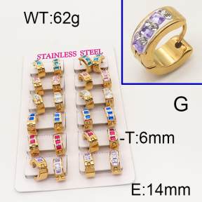 SS Earrings  6E4002540aklm-450