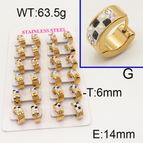 SS Earrings  6E4002541aklm-450