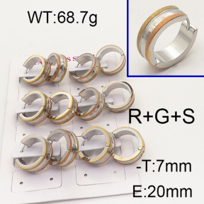 SS Earrings  6E5000176ajvb-450