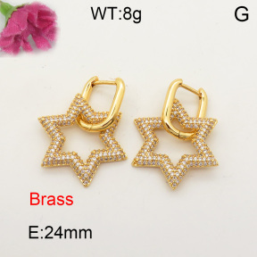 Fashion Brass Earrings  F3E401593vhmv-L017