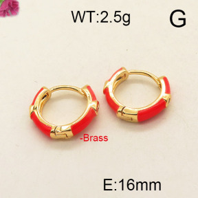 Fashion Brass Earrings  F6E300952vbpb-J111