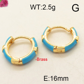 Fashion Brass Earrings  F6E300953vbpb-J111
