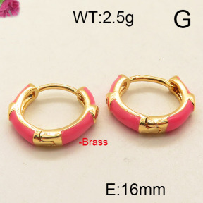 Fashion Brass Earrings  F6E300954vbpb-J111