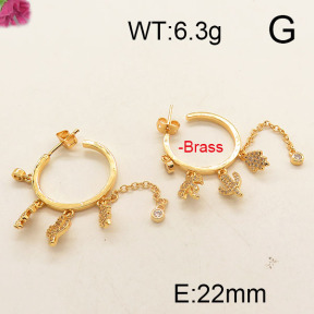 Fashion Brass Earrings  F6E402508ahlv-J111
