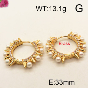 Fashion Brass Earrings  F6E402509bika-J111