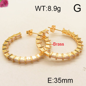 Fashion Brass Earrings  F6E402511ahlv-J111