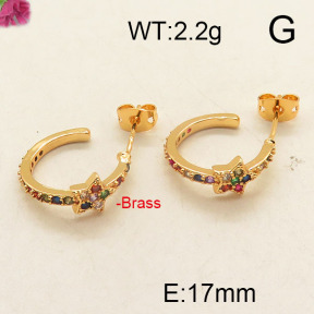 Fashion Brass Earrings  F6E402514vbpb-J111