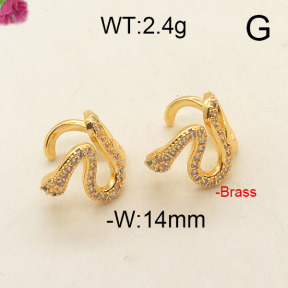 Fashion Brass Earrings  F6E402622vbpb-J111