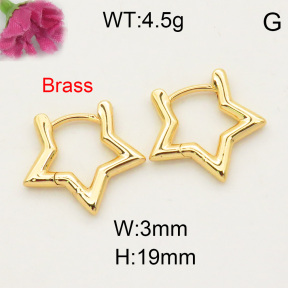 Fashion Brass Earrings  F3E200126aajl-L017