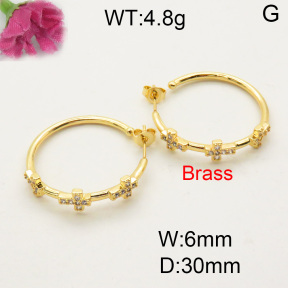 Fashion Brass Earrings  F3E401726bbov-L017