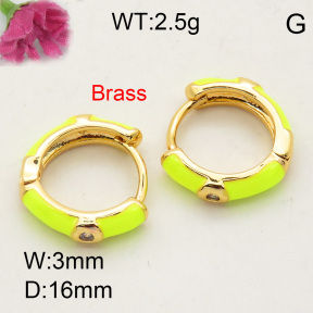 Fashion Brass Earrings  F3E401771vbmb-L017