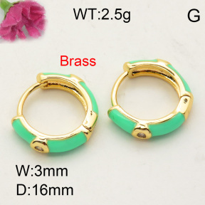 Fashion Brass Earrings  F3E401772vbmb-L017