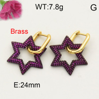 Fashion Brass Earrings  F3E401782aivb-L017