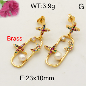 Fashion Brass Earrings  F3E401792bbov-L017