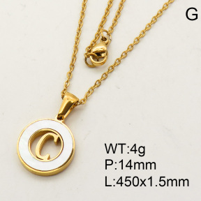 SS Necklace  3N3000337aakj-679