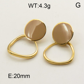 SS Earrings  3E3001053bhia-722