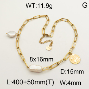 SS Necklace  3N3000385vhnv-722
