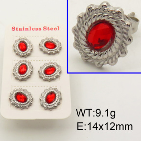 SS Earrings  3E4001552vhml-066