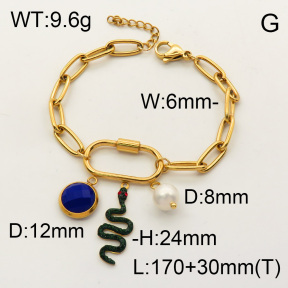 SS Bracelet  3B4001809vhnl-908