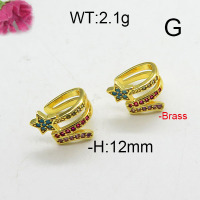Fashion Brass Earrings  F6E402759ablb-L024