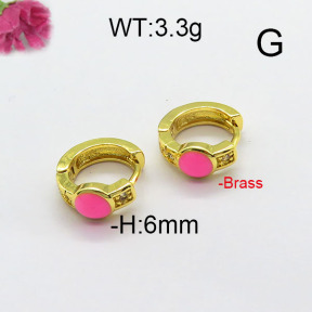 Fashion Brass Earrings  F6E402820vbmb-L024